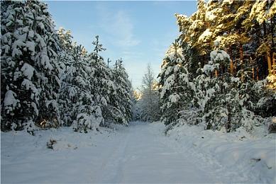 角色扮演游戏《七蛟龙》Steam页面上线 发售日待定