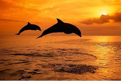 动作冒险游戏《There Is No Light》实机演示公布 年内正式发售