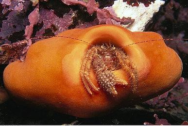 回合制卡牌策略游戏《软盘骑士》5月24日发行